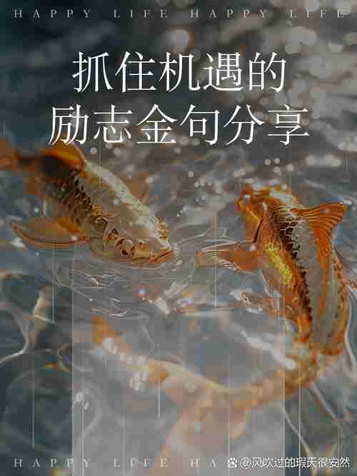遇到机遇,勇敢迎接未来