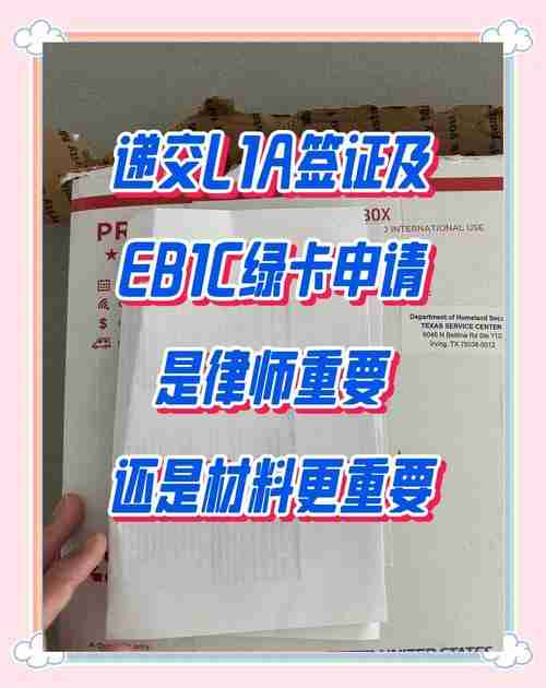 签证被拒五次_如何三天翻盘_省$8000律师费实操